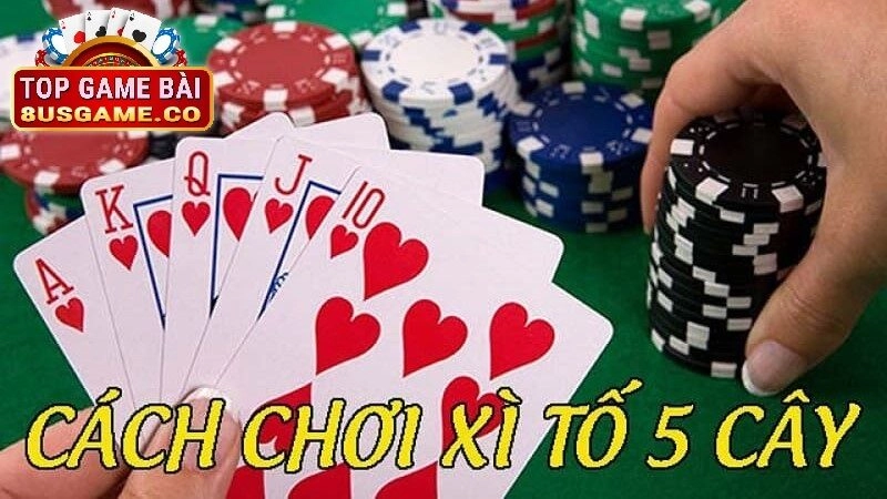 Luật chơi cơ bản của chơi Xì Tố 5 Cây tại cổng game 8us